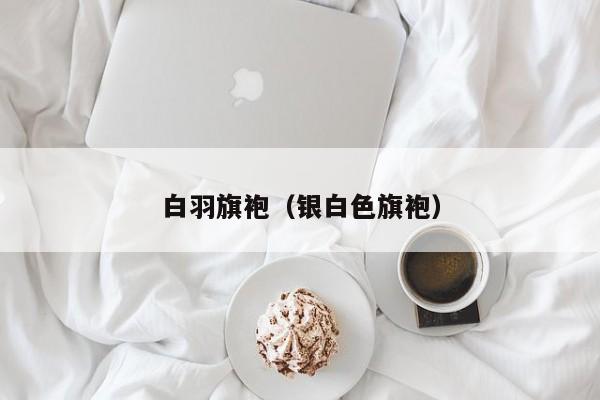 白羽旗袍（银白色旗袍）