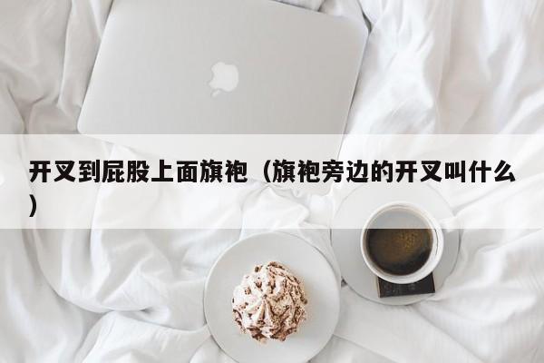 开叉到屁股上面旗袍（旗袍旁边的开叉叫什么）