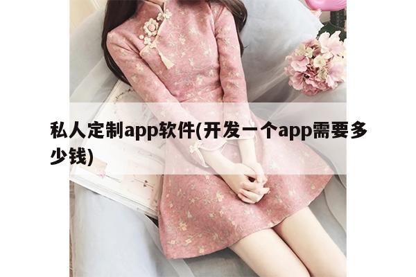 私人定制app软件(开发一个app需要多少钱)