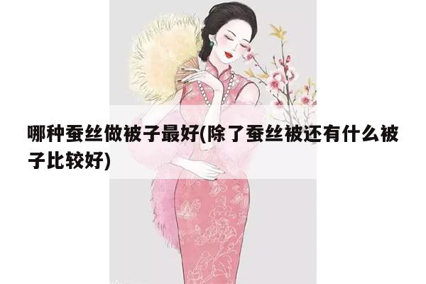 哪种蚕丝做被子最好(除了蚕丝被还有什么被子比较好)