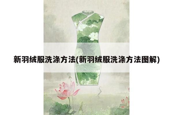 新羽绒服洗涤方法(新羽绒服洗涤方法图解)