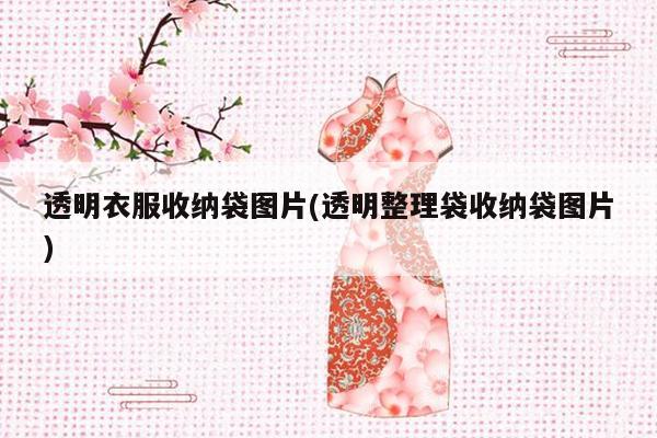 透明衣服收纳袋图片(透明整理袋收纳袋图片)