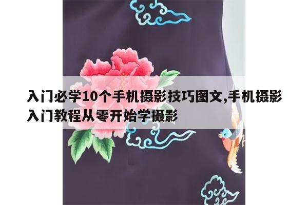 入门必学10个手机摄影技巧图文,手机摄影入门教程从零开始学摄影