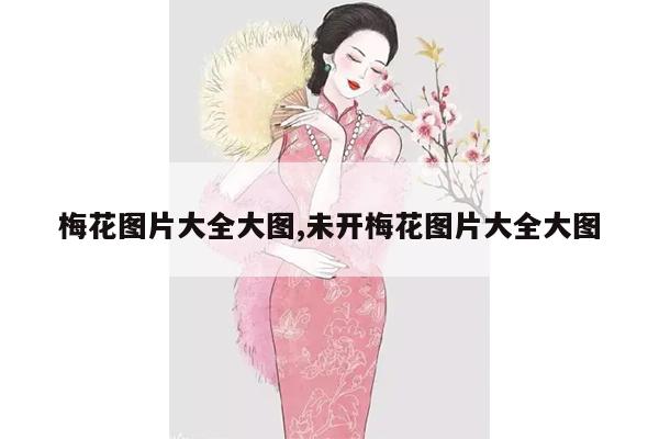 梅花图片大全大图,未开梅花图片大全大图