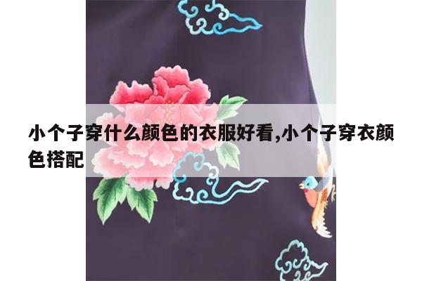 小个子穿什么颜色的衣服好看,小个子穿衣颜色搭配