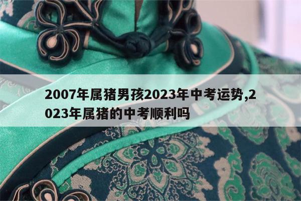 2007年属猪男孩2023年中考运势,2023年属猪的中考顺利吗