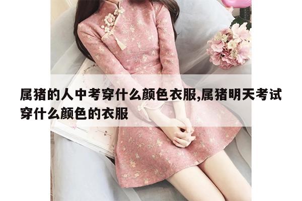 属猪的人中考穿什么颜色衣服,属猪明天考试穿什么颜色的衣服