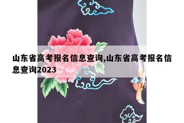 山东省高考报名信息查询,山东省高考报名信息查询2023