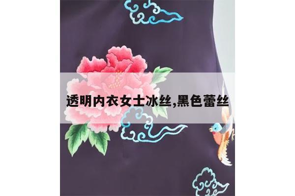 透明内衣女士冰丝,黑色蕾丝