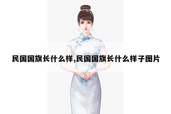 民国国旗长什么样,民国国旗长什么样子图片