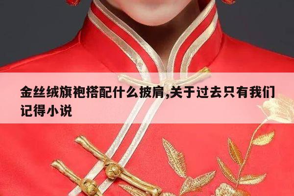 金丝绒旗袍搭配什么披肩,关于过去只有我们记得小说