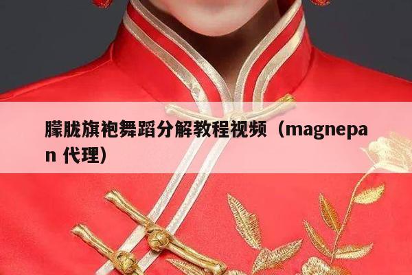 朦胧旗袍舞蹈分解教程视频（magnepan 代理）