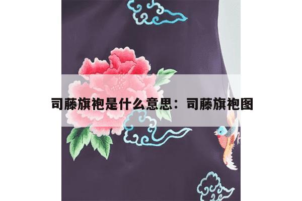 司藤旗袍是什么意思：司藤旗袍图