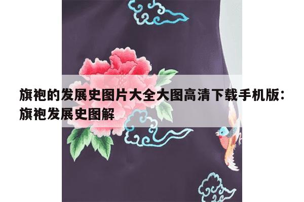 旗袍的发展史图片大全大图高清下载手机版：旗袍发展史图解