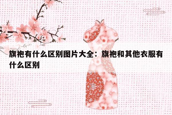 旗袍有什么区别图片大全：旗袍和其他衣服有什么区别