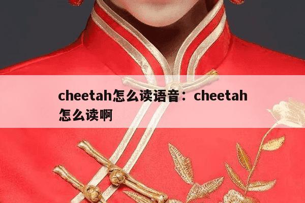 cheetah怎么读语音：cheetah怎么读啊