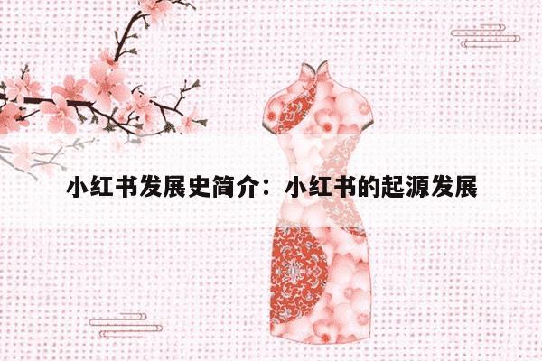 小红书发展史简介：小红书的起源发展